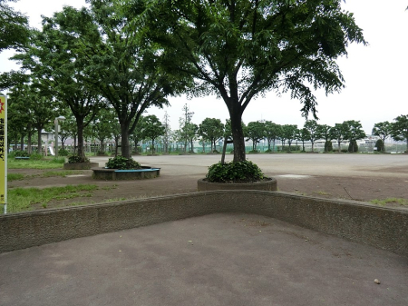 ӊ  600m Vh旧