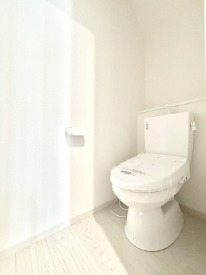 gC gC1K2KꂼɔzuĂĂƂĂ֗łB 