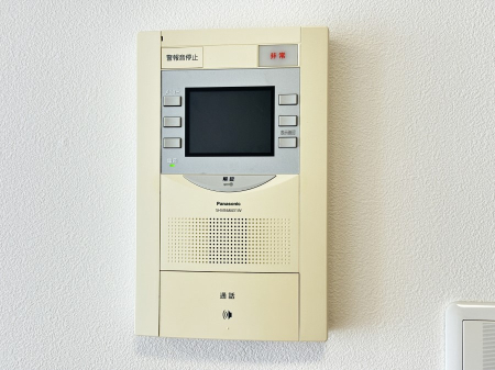̑ zvĂߔNłTVj^[tŖhƖʂSł  