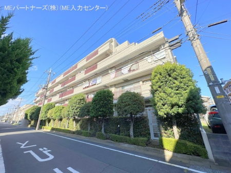 nOώʐ^ -