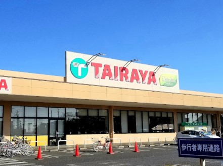 ӊ X[p[ 500m TAIRAYA_X