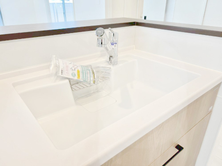 その他内観 いつでも清潔なおいしいお水を。一つの水栓で水道水と浄水を使い分け。