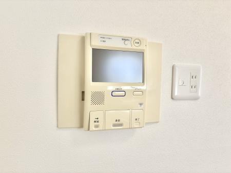 ̑ zvĂߔNłTVj^[tŖhƖʂSł  