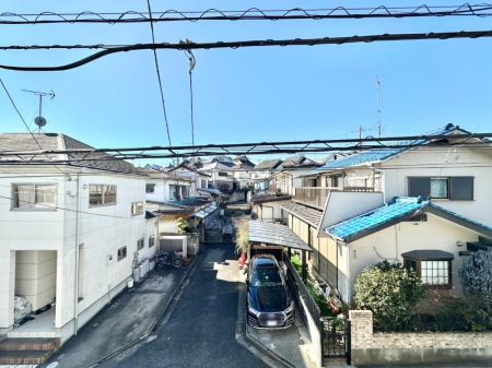 ̑ Sn悢ꂻȒ]ł