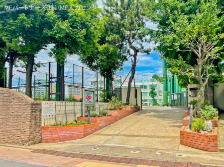 周辺環境 中学校 520m 渋谷区立松濤中学校