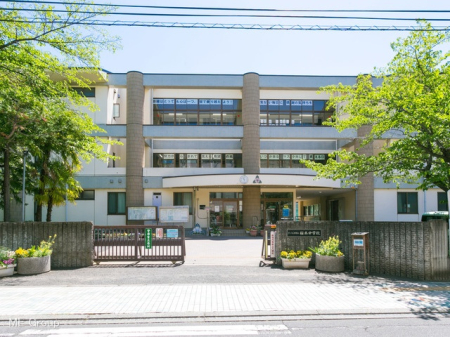 周辺環境 中学校 1300m さいたま市立桜木中学校