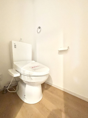 gC gC1K2KꂼɔzuĂĂƂĂ֗łB 