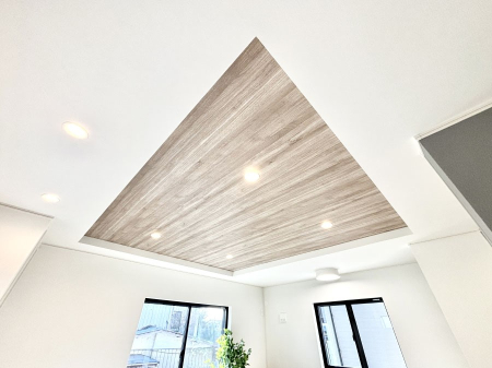 ���̑����� �܏�V��͗��̓I�ȉ��s��������̂ŁA�J���I�ȋ�Ԃ����o�ł��܂��B    