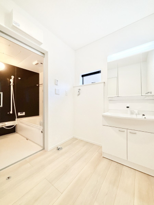 ���̑� �_�炩�Ȓ��̌����������鑋���������ʎ�