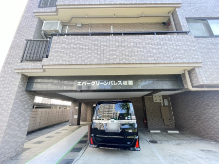 GgX Ղ̎R˂ޖ邢GgX 