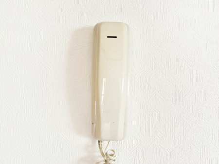 ̑ q҂̊mFłC^[z