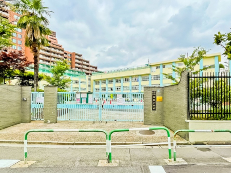 周辺環境 小学校 120m 豊島区立高南小学校