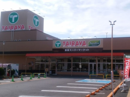 ӊ X[p[ 600m TAIRAYA-YahaX