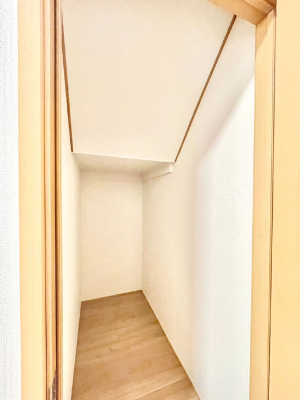 ̑ ݔ