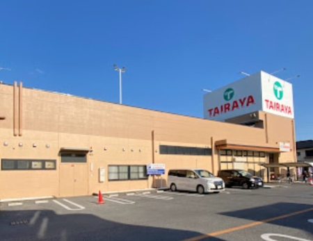 ӊ X[p[ 500m TAIRAYA tX