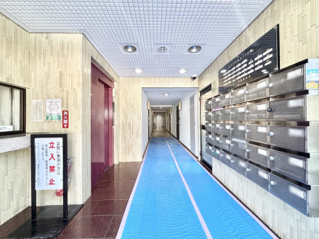 ̑ ꂢɑ|EĂ郍r[  