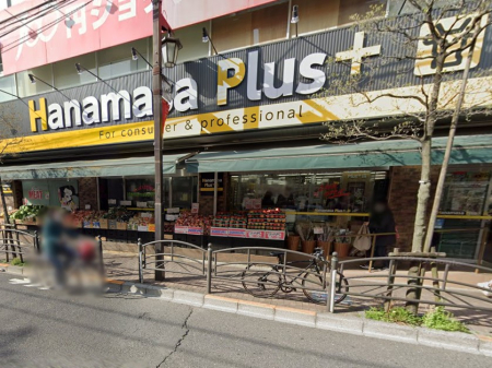 ӊ X[p[ 1100m Hanamasa Plus nX