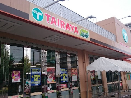 ӊ X[p[ 685m TAIRAYA OVX