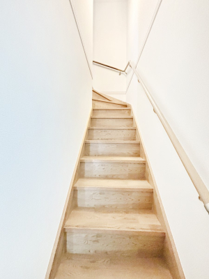 ̑ rOKiƑ̏ΊƉbȂł܂  