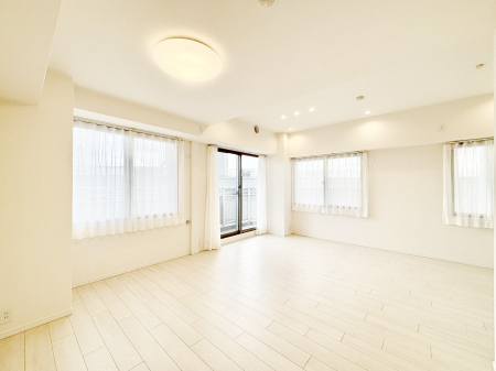 rO 傫ȑ炽Ղ̗zƕ郊rO