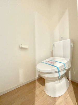 gC gC1K2KꂼɔzuĂĂƂĂ֗łB 