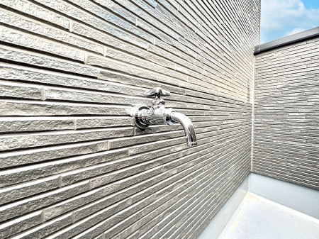 ���̑����� �o���R�j�[����������΂��|�����y�X�ł��B    