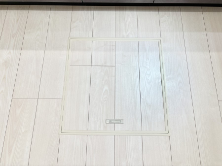 ̑ [tIpiEpi̎[ɂ劈B