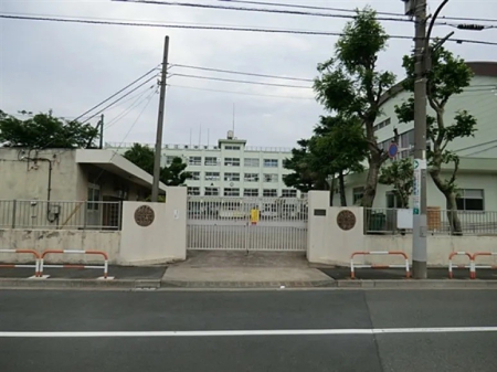 ӊ wZ 1900m 旧]쒆wZ