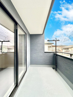 �o���R�j�[ ������̃o���R�j�[�I���Ƒ��̐��󕨂͂������A���z�c�������Ղ花���܂��I