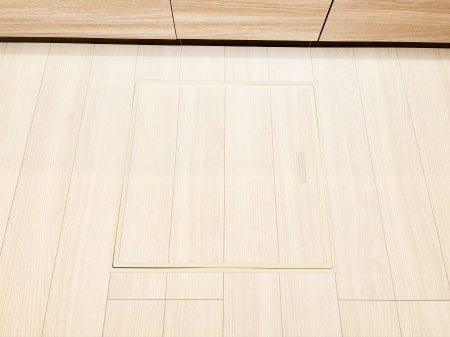 ���̑����� �������[�t���I���p�i�E���p�i�̎��[�ɂ��劈��B