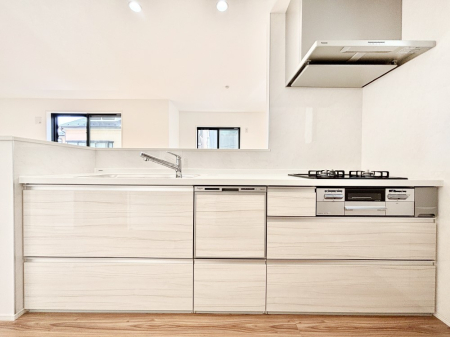 Lb` VXeLb`̓VvŃXbLO̗ȂfUCȂ̂ŉigI