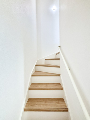 ���̑� �K�i�͎肷��t���Ȃ̂ŏ����Ȃ��q���܂₲����̕������S�ł�