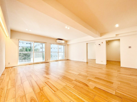 rO 傫ȑ炽Ղ̗zƕ郊rO