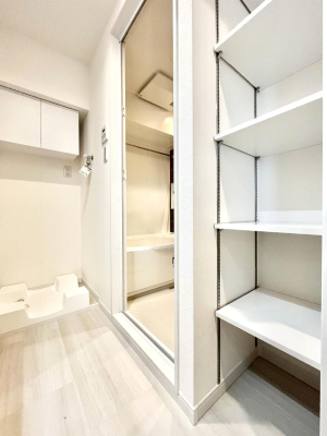 ̑ ֗ȃlɂŁAXbLg₷ʎ  