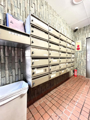 ̑ |Xg̓GgXɂ̂ŉJɔGꂸXւ󂯎܂ˁI