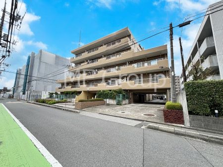 nOώʐ^ Ƃ肪Ί𐶂ސSn悢