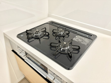 ���̑����� �O���K�X�R�����ł���������C�ɂ͂��ǂ肻��    