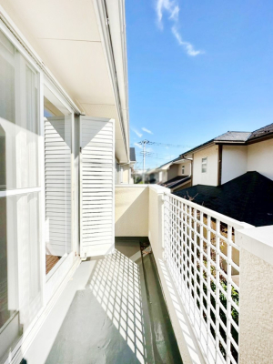 �o���R�j�[ �������o���R�j�[�������R��������̂������܂��B