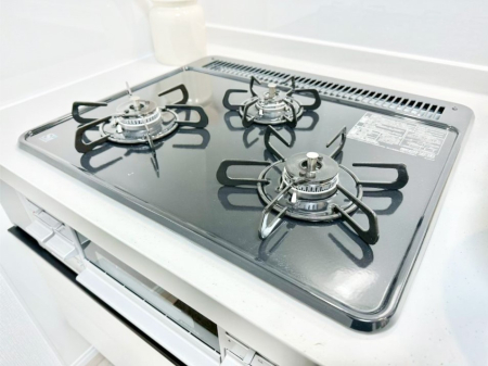 ���̑����� �O���K�X�R�����ł���������C�ɂ͂��ǂ肻���B  