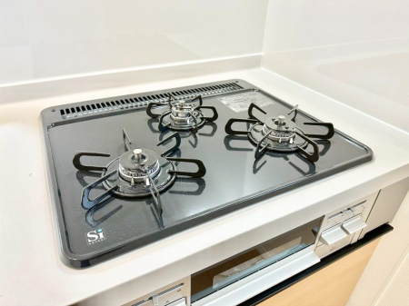 ���̑����� �O���K�X�R�����ł���������C�ɂ͂��ǂ肻��  �@