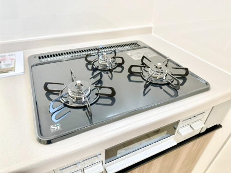 ���̑����� �K�X�R�����͂r���Z���T�[���ځB�Η͒��߂�ł��t���E�����Y����h���ł���܂��B