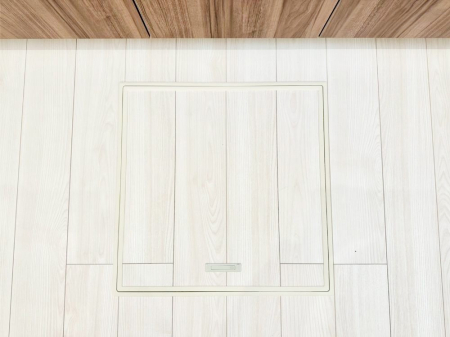 ���̑����� �������[�t���I���p�i�E���p�i�̎��[�ɂ��劈��B