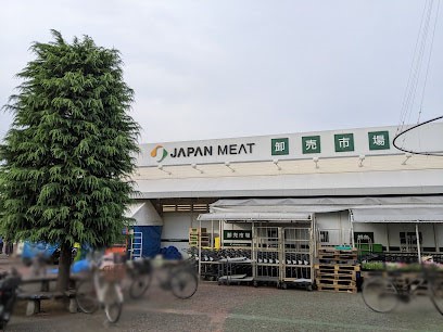 ӊ X[p[ 900m Wp~[g RX