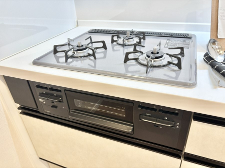 ���̑����� �O���K�X�R�����ł���������C�ɂ͂��ǂ肻��  