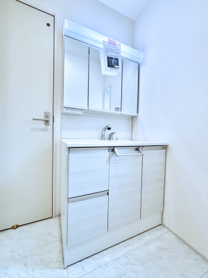 ʑEʏ 傫₷OʋŐʑ́AgȂ݃`FbN┧̂ɂ߂łB 