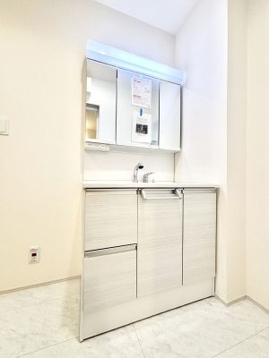 ʑEʏ 傫₷OʋŐʑ́AgȂ݃`FbN┧̂ɂ߂łB 