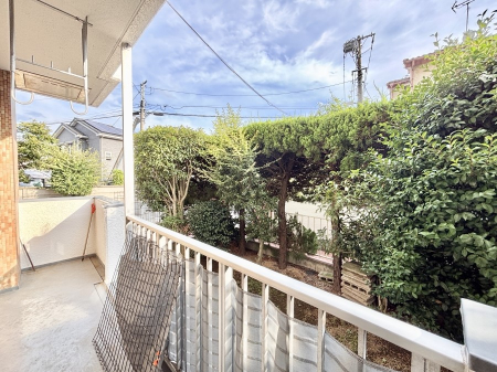 ���̑� �o���R�j�[����̒��]�ł�