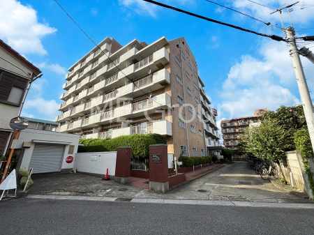 ���n�O�ώʐ^ ����z���ł��Ƒ��̏Ί���P��