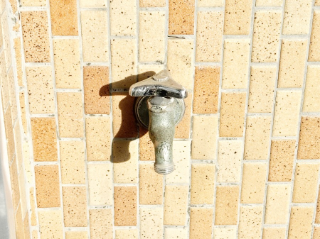 ���̑����� �o���R�j�[����