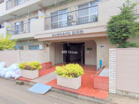 �G���g�����X -